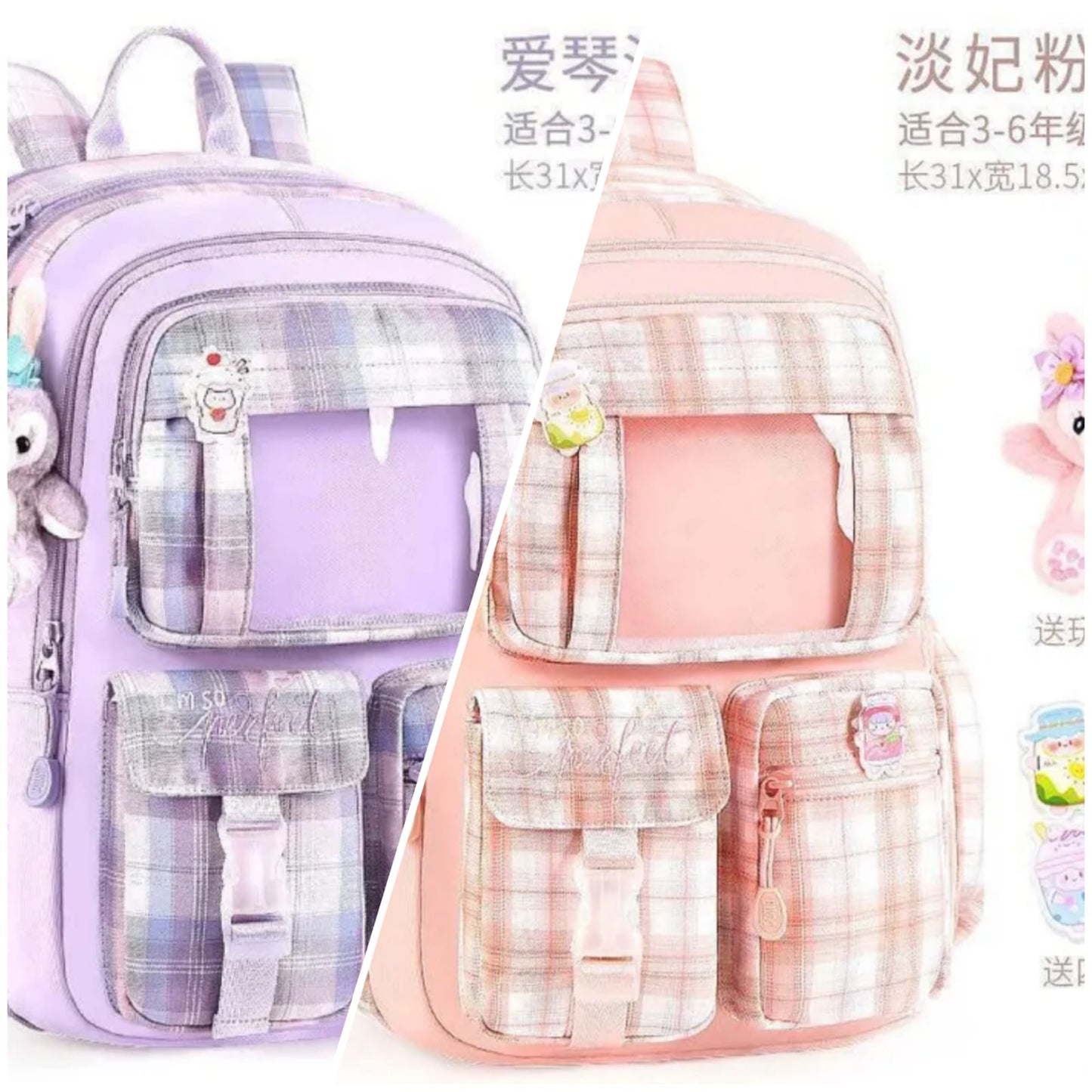 Multi color Backpack | Imported