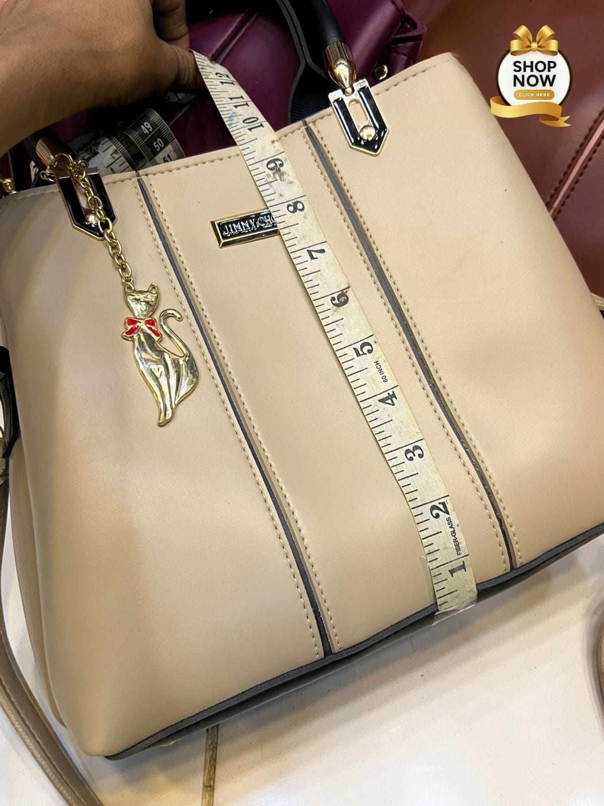 Fancy Branded Handbag